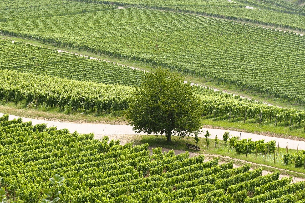 Randonnée dans la campagne euroise